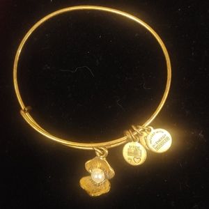 Alex and Ani charm bracelet